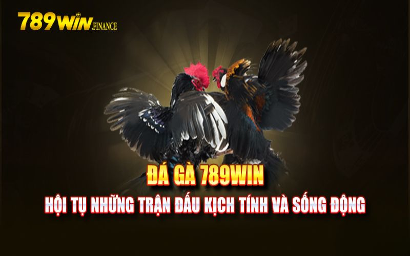 Kinh nghiệm để bắt kèo đá gà chuẩn như cao thủ