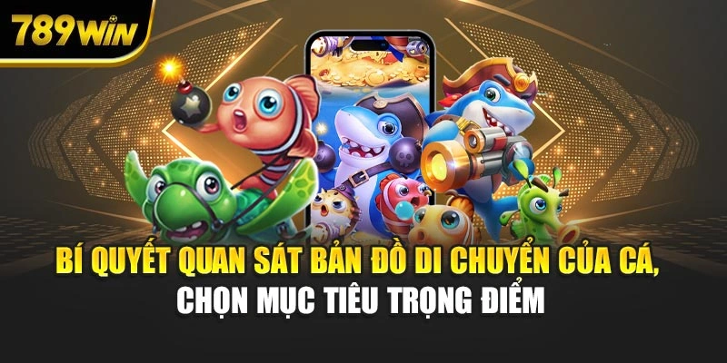 Bí quyết quan sát bản đồ di chuyển của cá, chọn mục tiêu trọng điểm