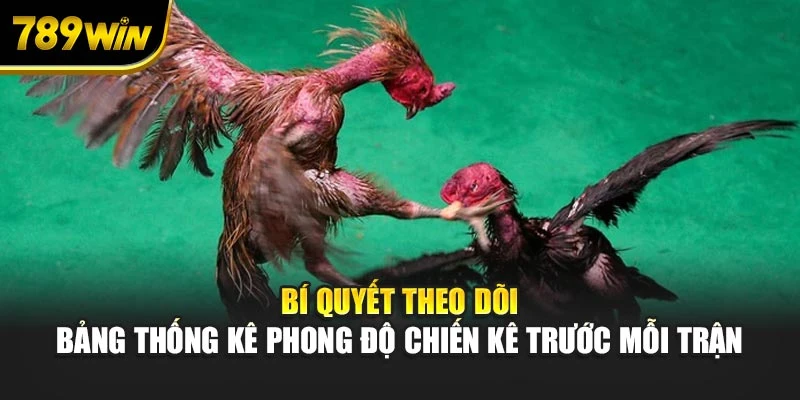 Bí quyết theo dõi bảng thống kê phong độ chiến kê trước mỗi trận