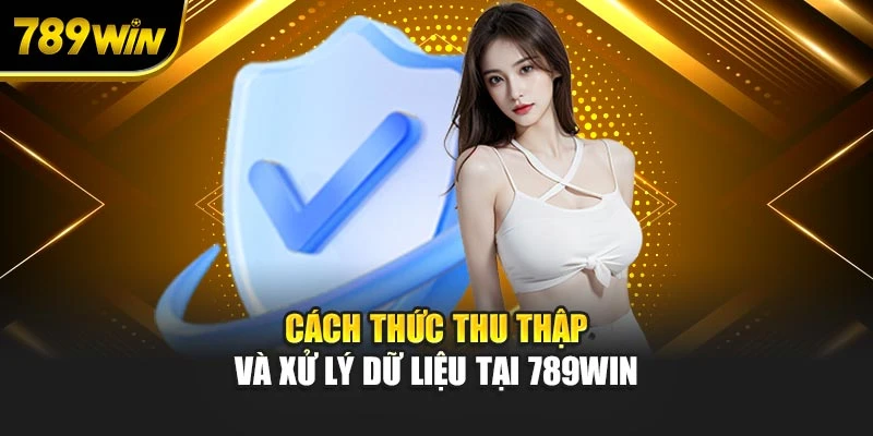 Cách thức thu thập và xử lý dữ liệu tại 789WIN