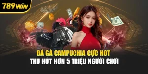 Đá Gà Campuchia Cực Hot Thu Hút Hơn 5 Triệu Người Chơi