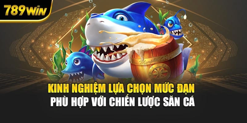 Kinh nghiệm lựa chọn mức đạn phù hợp với chiến lược săn cá