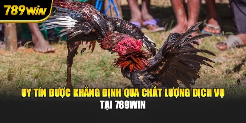 Uy tín được khẳng định qua chất lượng dịch vụ tại 789WIN